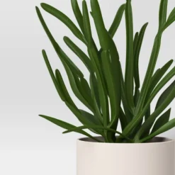 3pk 7.87" Monstera Artificial Plants - Room Essentials™ -RoomEssentials Sales Store GUEST 42aa6e1e 871f 45b2 8f95 a0bff9cd21df