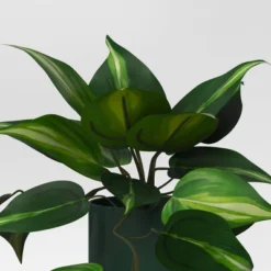 3pk 11.42" Pothos Artificial Plants - Room Essentials™ -RoomEssentials Sales Store GUEST 70a5b5ef d609 408c 9e57 eac60c087523