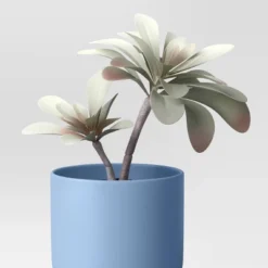 3pk 8.86" Succulent Artificial Plants Multicolor - Room Essentials™ -RoomEssentials Sales Store GUEST 713a3c74 4a66 4731 bccf 7c13c81b2f01