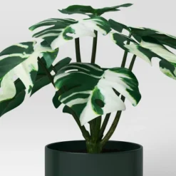3pk 7.87" Monstera Artificial Plants - Room Essentials™ -RoomEssentials Sales Store GUEST b353e242 fcb5 4c4c affc ddf91298a192