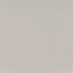 Set Of 2 Upholstered With Metal Base Dining Chair Chairs Cream Boucle - Room Essentials™ -RoomEssentials Sales Store GUEST ce07f540 6439 42b6 b0ad 3a3dd82f0729