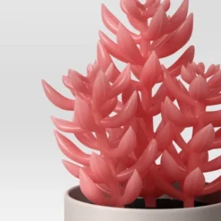 3pk 8.86" Succulent Artificial Plants Multicolor - Room Essentials™ -RoomEssentials Sales Store GUEST cfa72693 81b2 4c35 87ab 78b388b04202